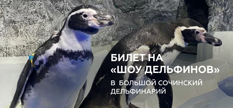 Билет в дельфинарий в мобильном приложении!