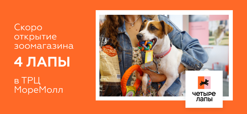 Открытие нового пространства «Четыре Лапы»!